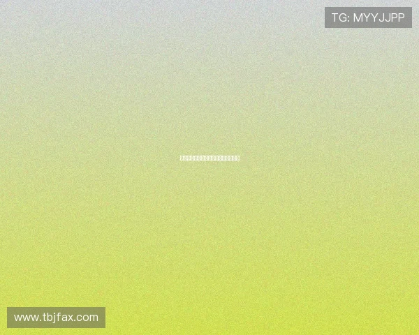 爱在那一天：一场跨越时空的温柔回响