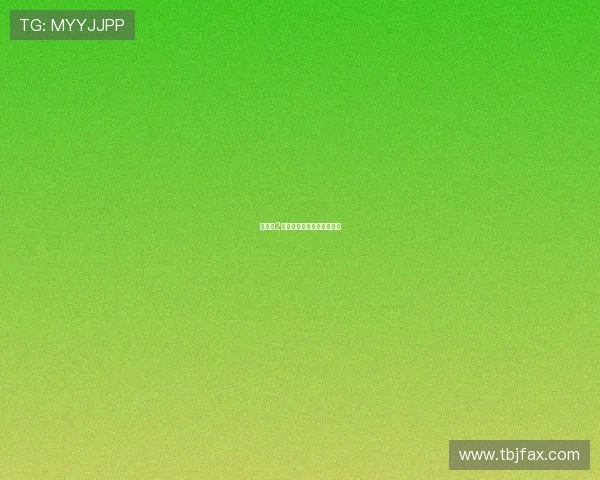 斑马人2：当经典重燃，当情怀不灭